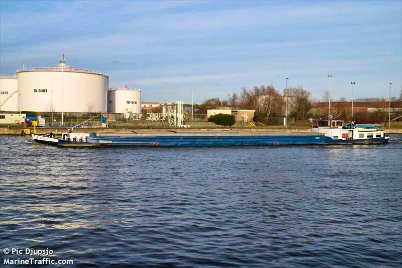 Bernard — thumbnail 2